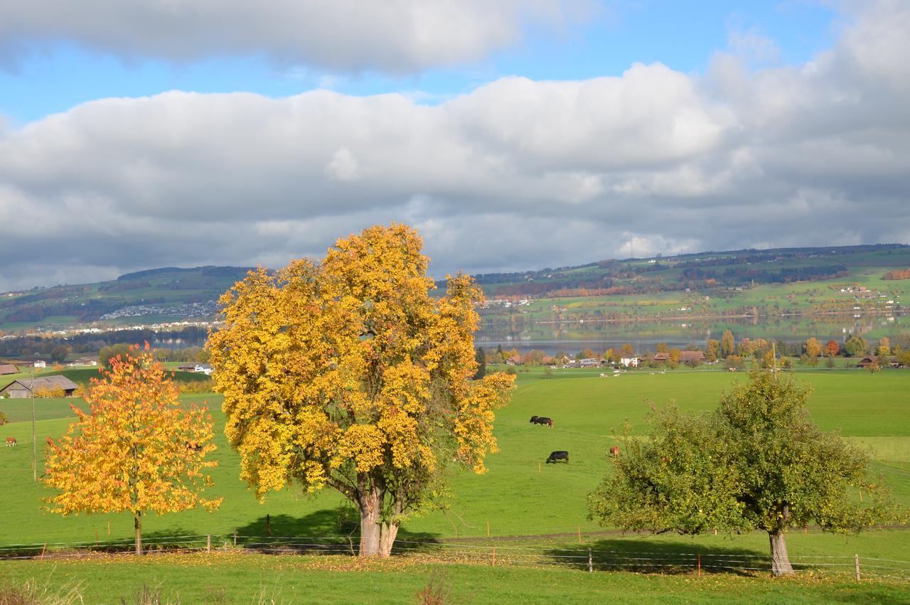B&B Friedau Nottwil Exteriér fotografie